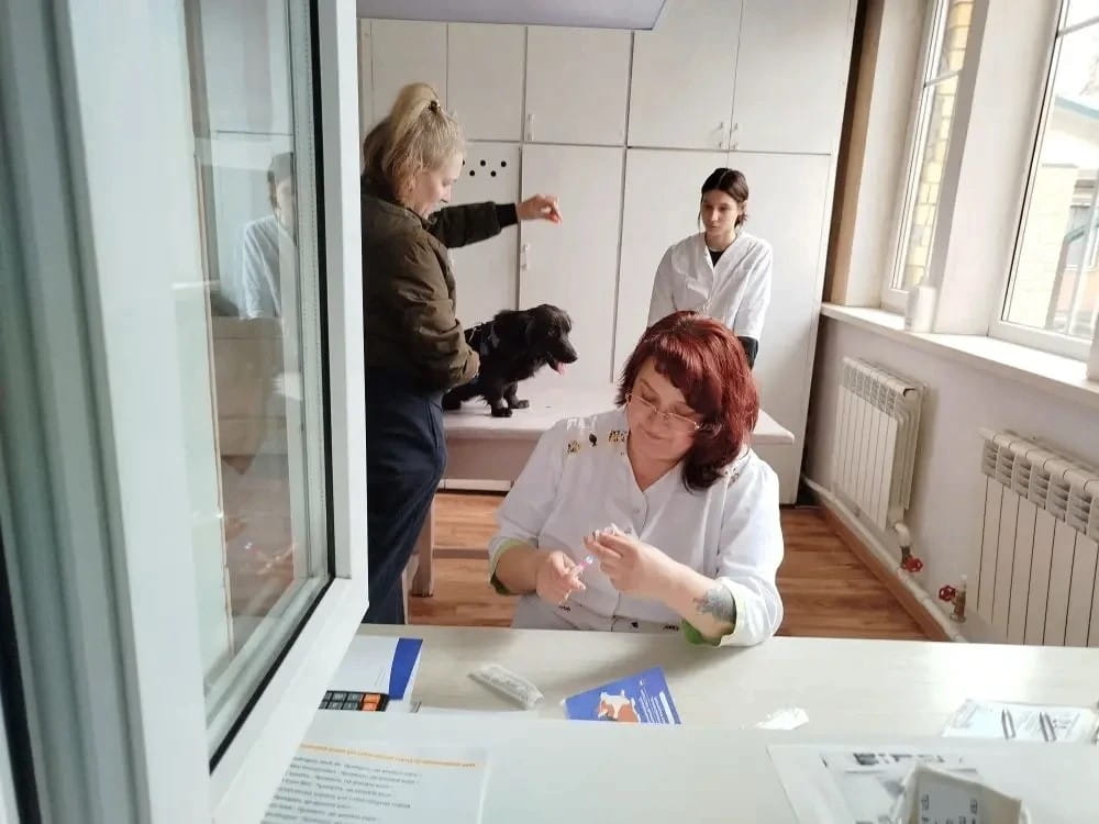 Молодежь Тверской области наглядно знакомят с профессиями