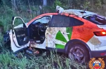 Водитель "Рено" пострадал в ДТП с участием лося в Тверской области участием