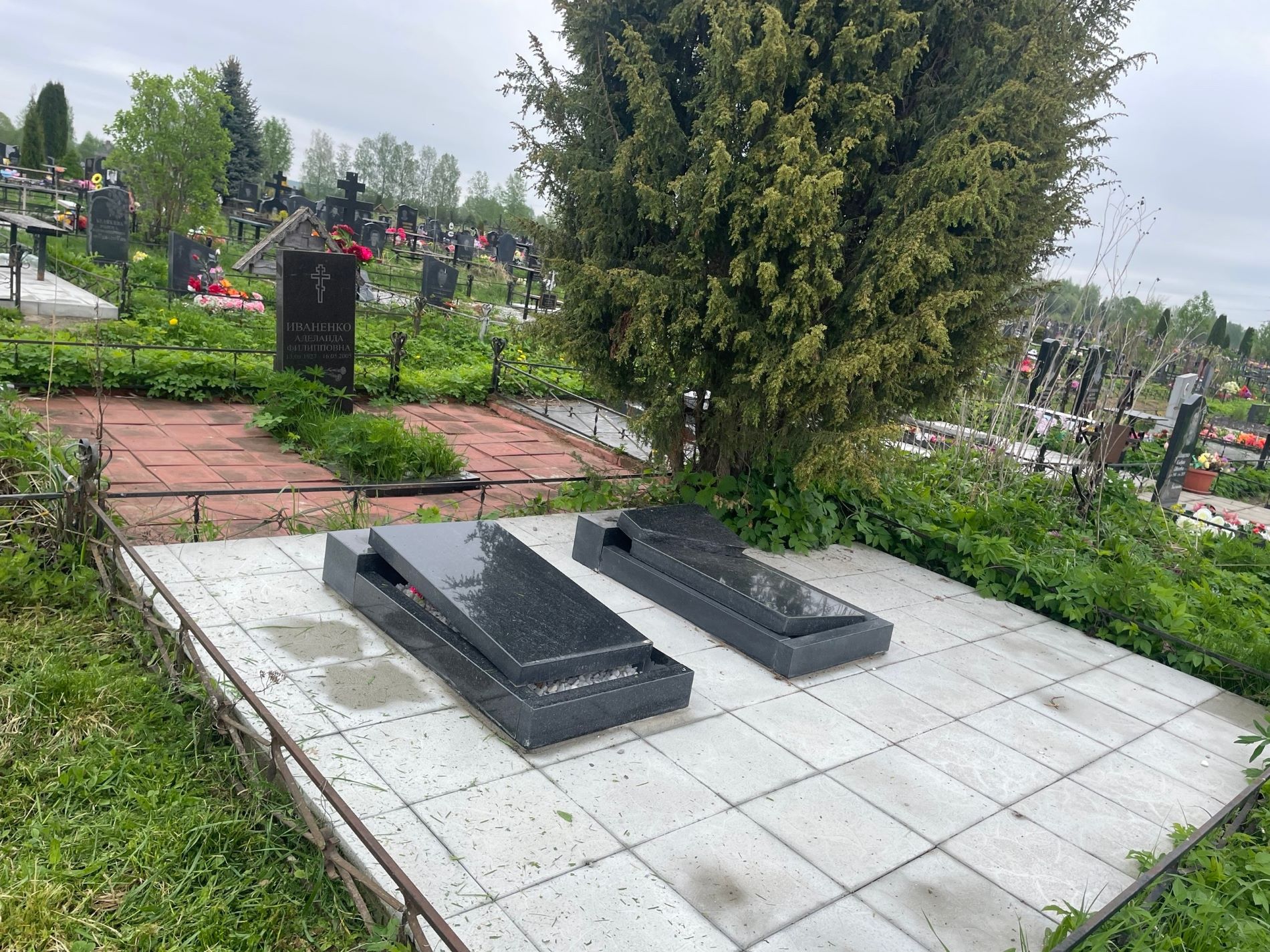 Вандалы продолжают громить кладбища в Тверской области