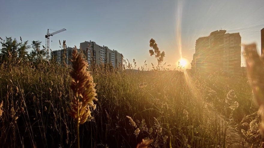 градусов