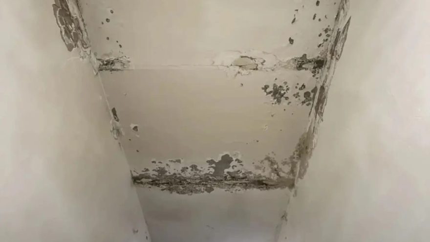 многоквартирном