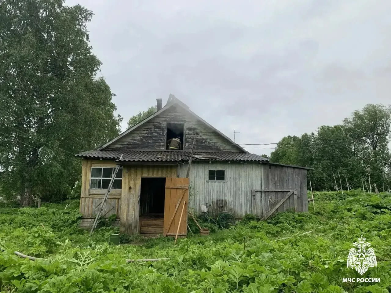 погибли