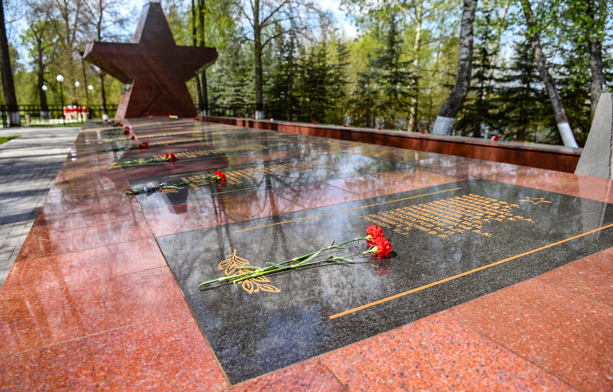 Виталий Королев на акции «Сад памяти»: храним память о героях, передаем ее следующим поколениям