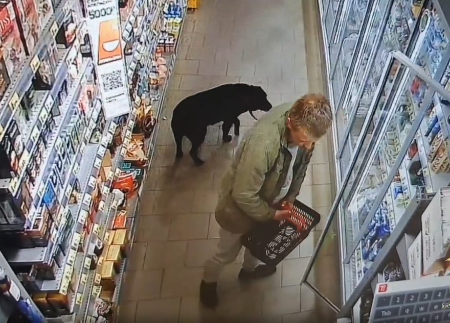 ограбил