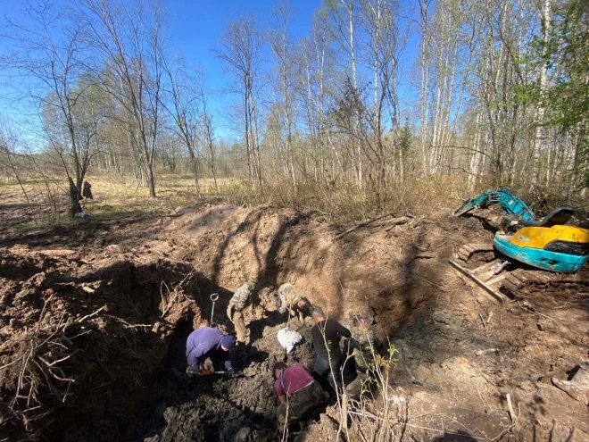 В Тверской области обнаружили останки четверых красноармейцев