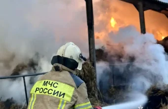 сена