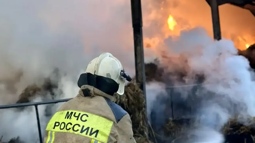 сена