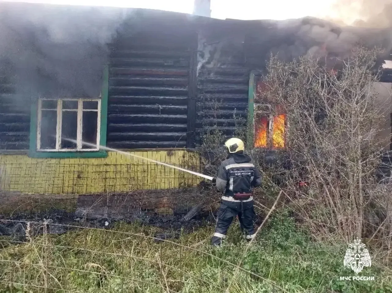 области