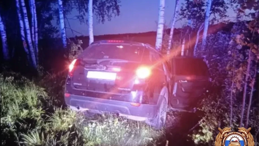 дерево