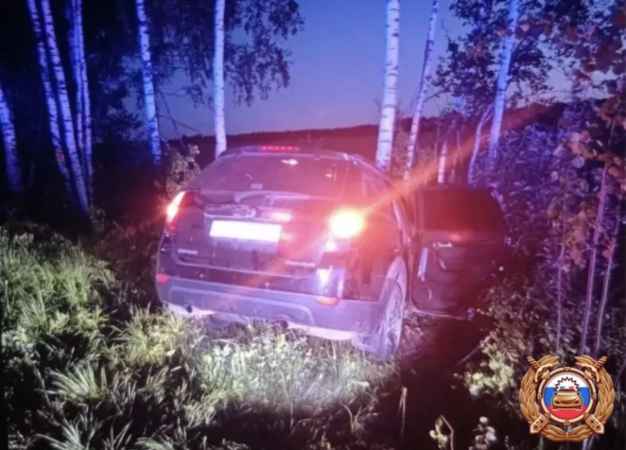 дерево