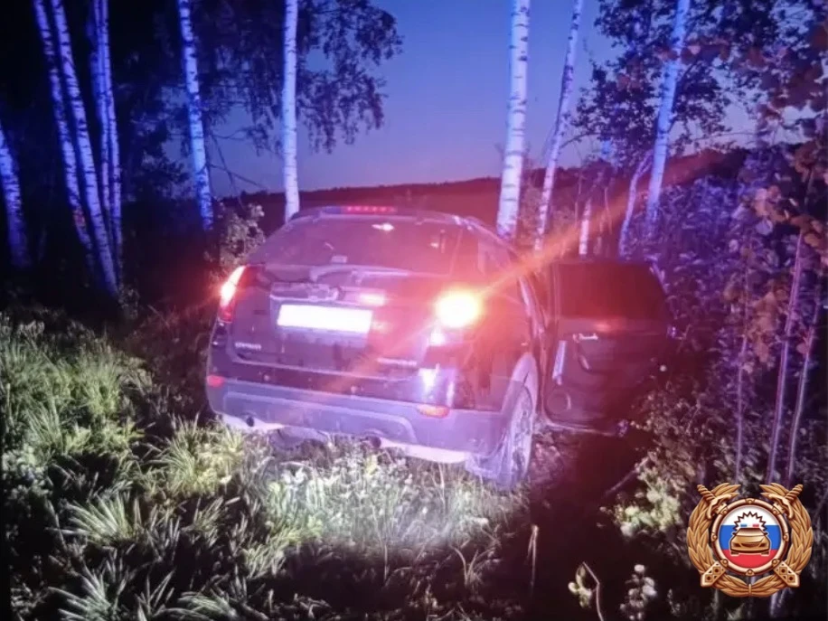 дерево