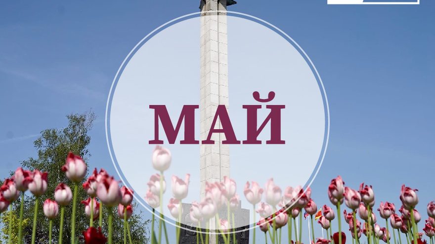 законы