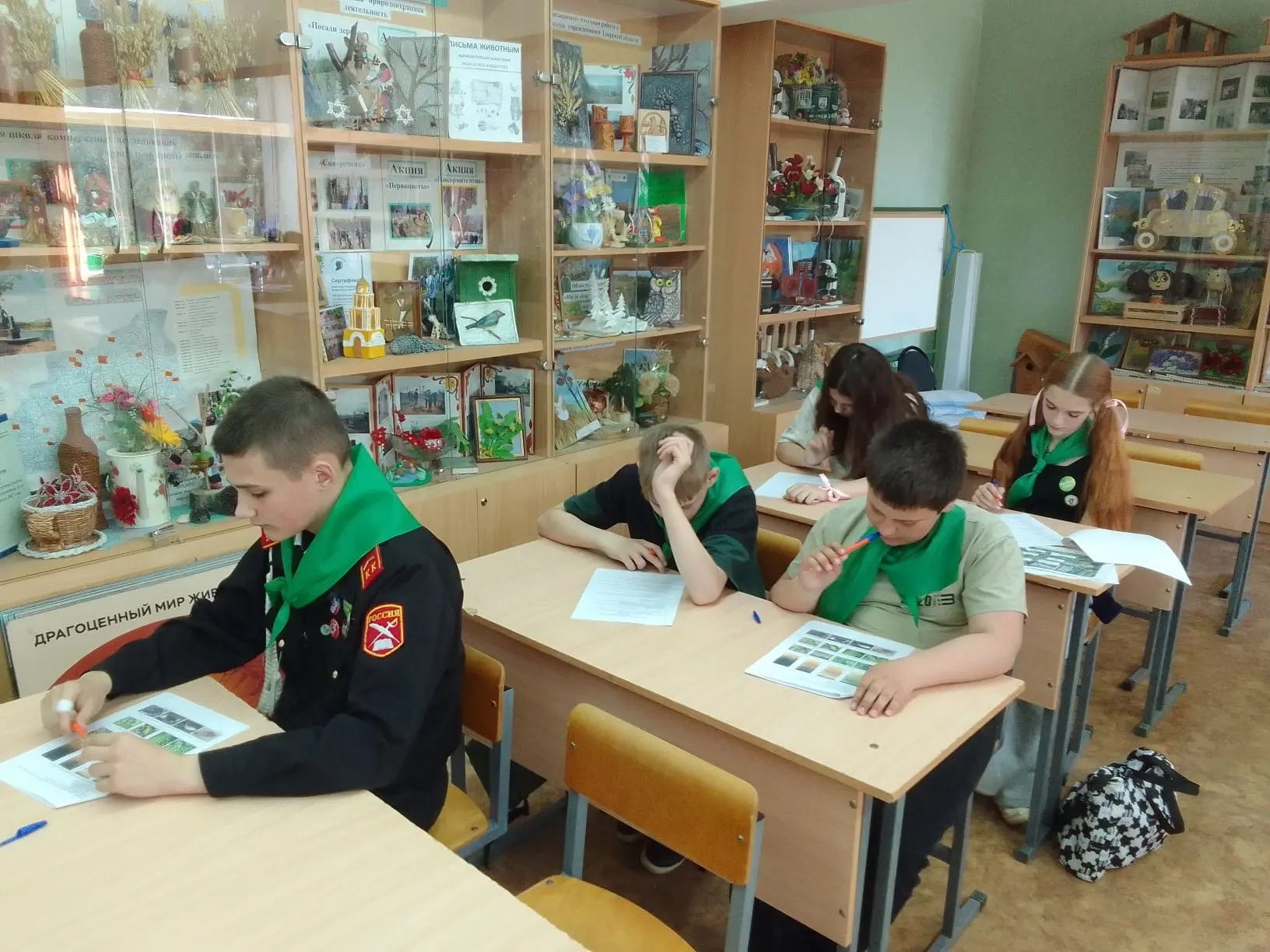 В Тверской области определили лучших юных экологов
