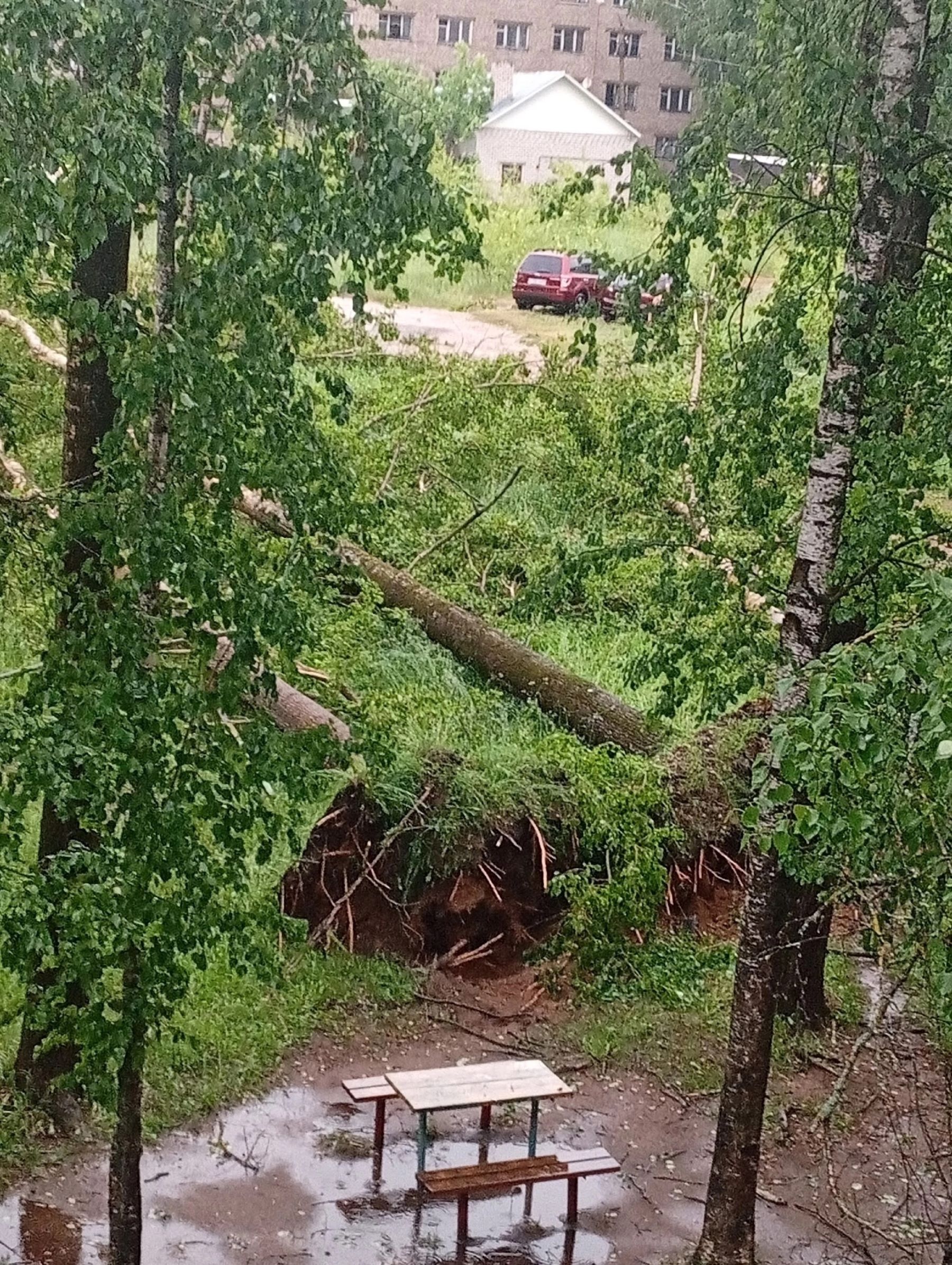Ураганом унесло крышу на молокозаводе в Тверской области