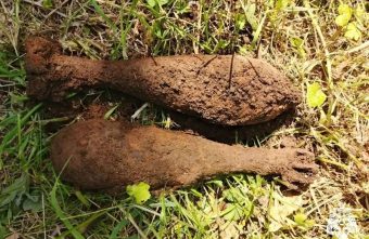 В деревне Тверской области нашли две мины мины