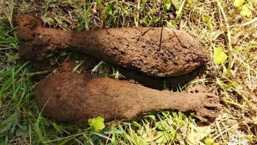 В деревне Тверской области нашли две мины
