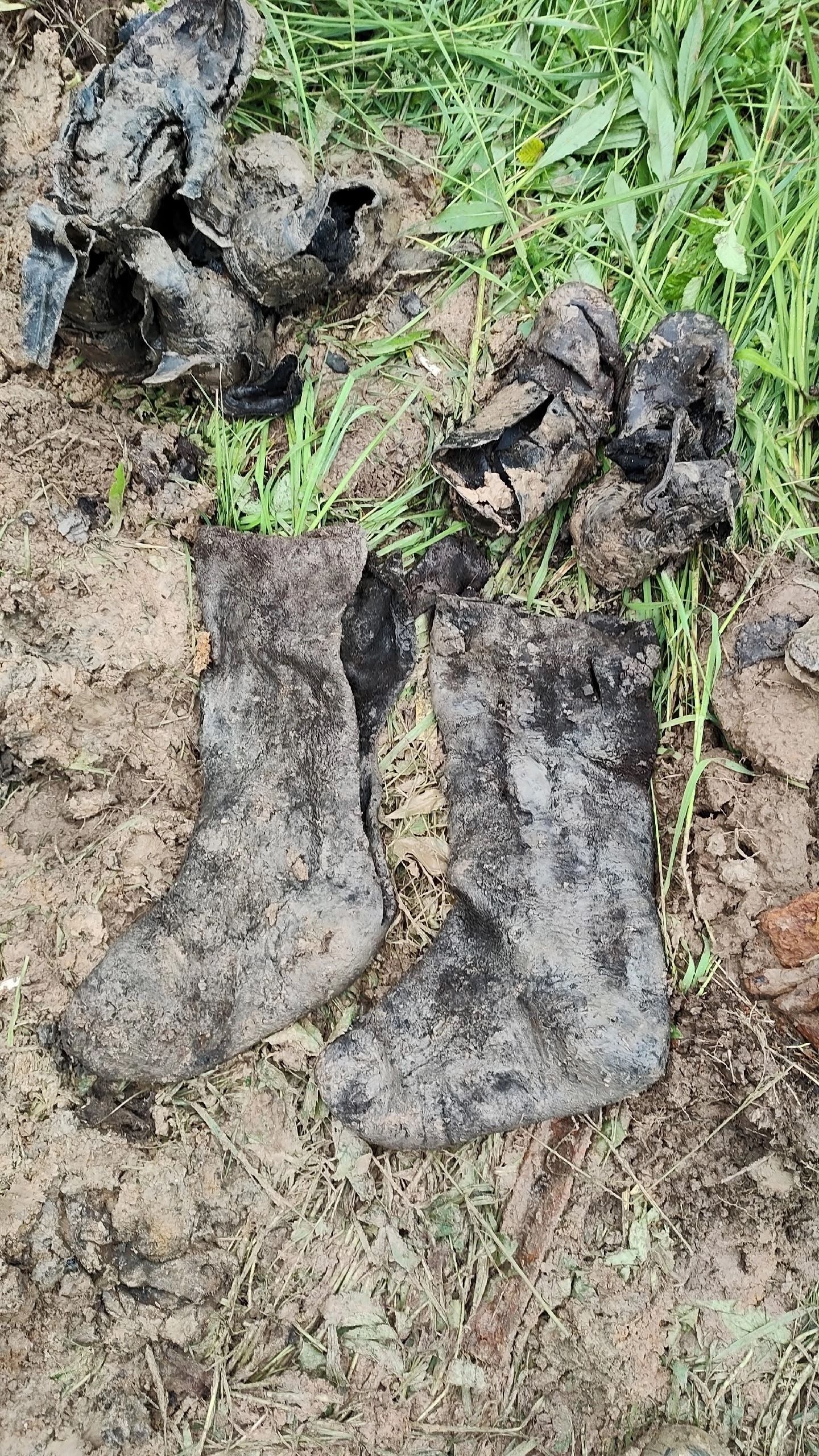 В Тверской области поисковики подняли останки 61 красноармейца