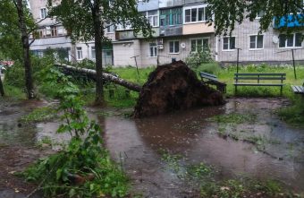 Ураганом унесло крышу на молокозаводе в Тверской области крышу