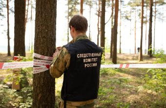 Начальника отдела лесхоза обвиняют в незаконной вырубке леса в Тверской области вырубке