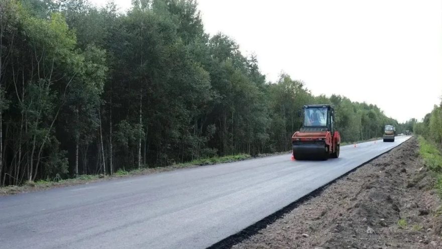 дорожных