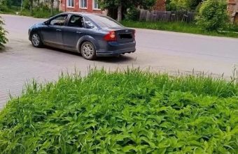 Тверской