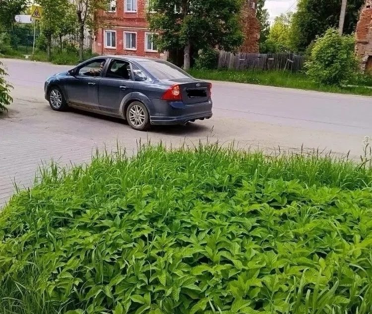 Тверской
