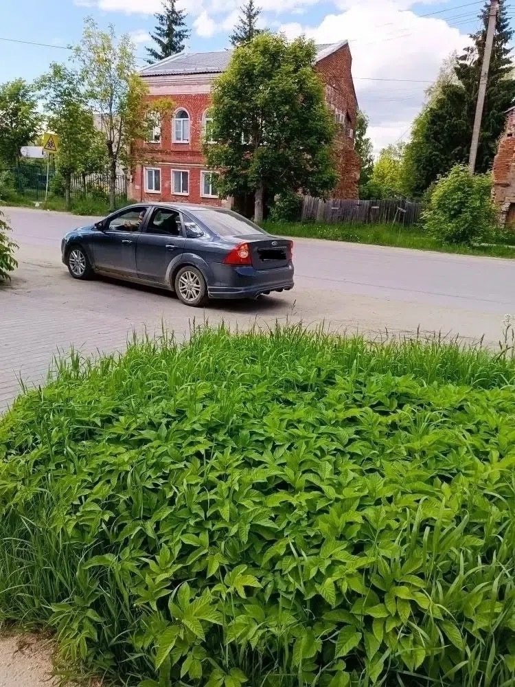 Тверской