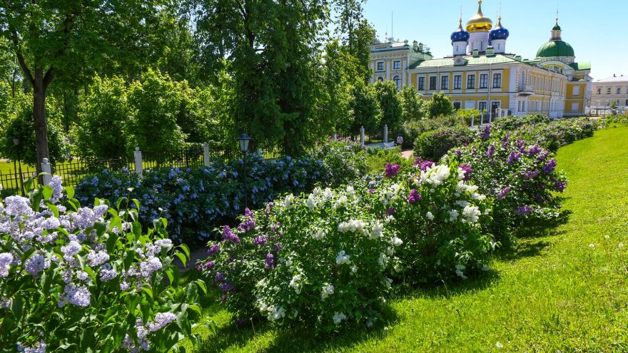 Виталий Королев: Тверь вошла в число городов, наиболее привлекательных для жизни и покупки жилья