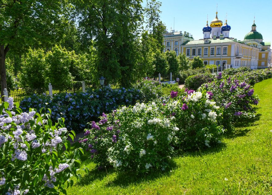 Виталий Королев: Тверь вошла в число городов, наиболее привлекательных для жизни и покупки жилья