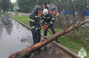 Тверской
