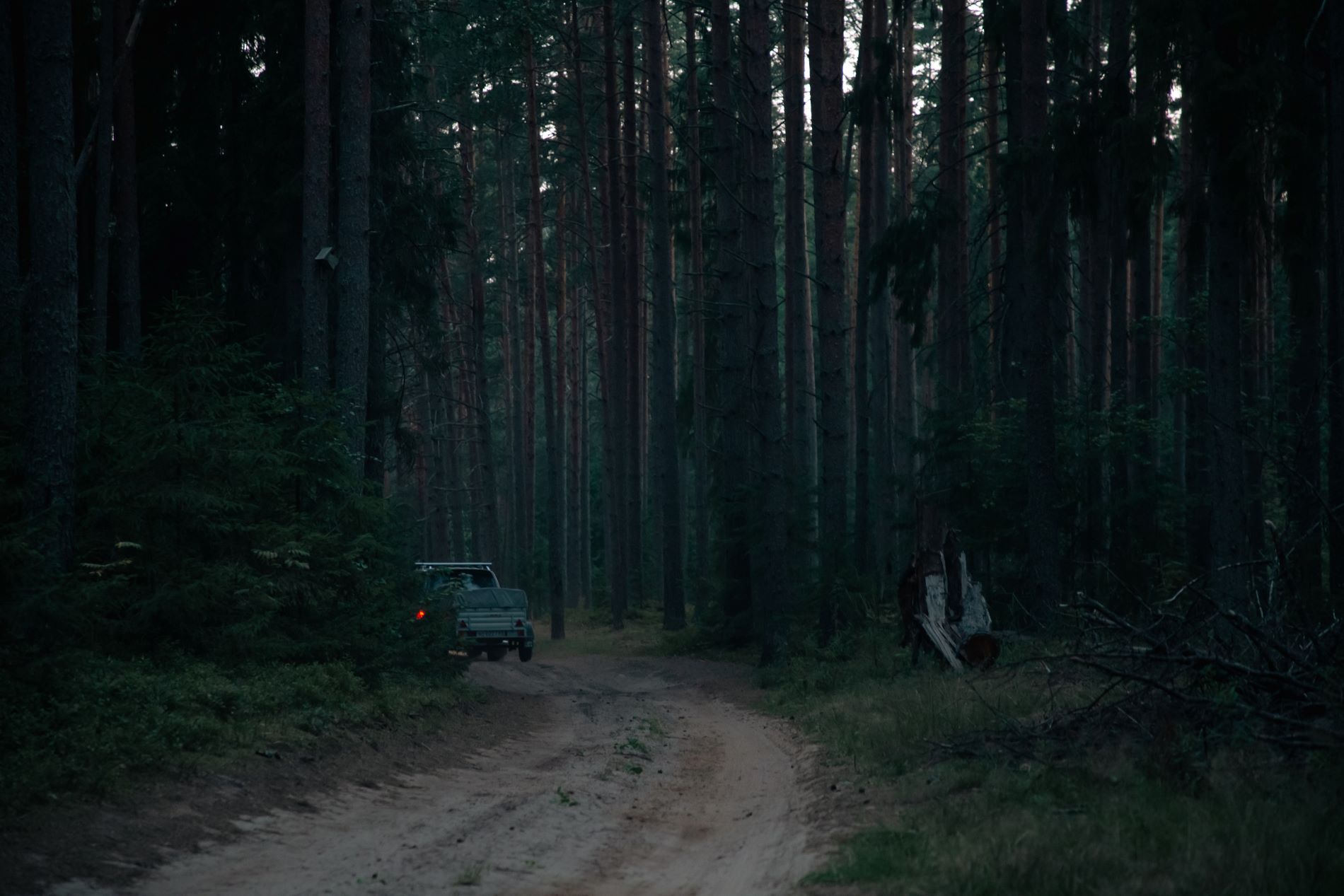 лес