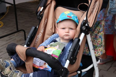 В Тверской области можно бесплатно пригласить социальную няню няню