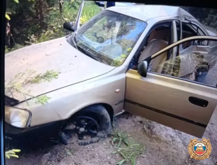В Тверской области автомобиль врезался в дерево