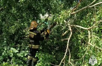 В Тверской области продолжают устранять последствия стихийного буйства области