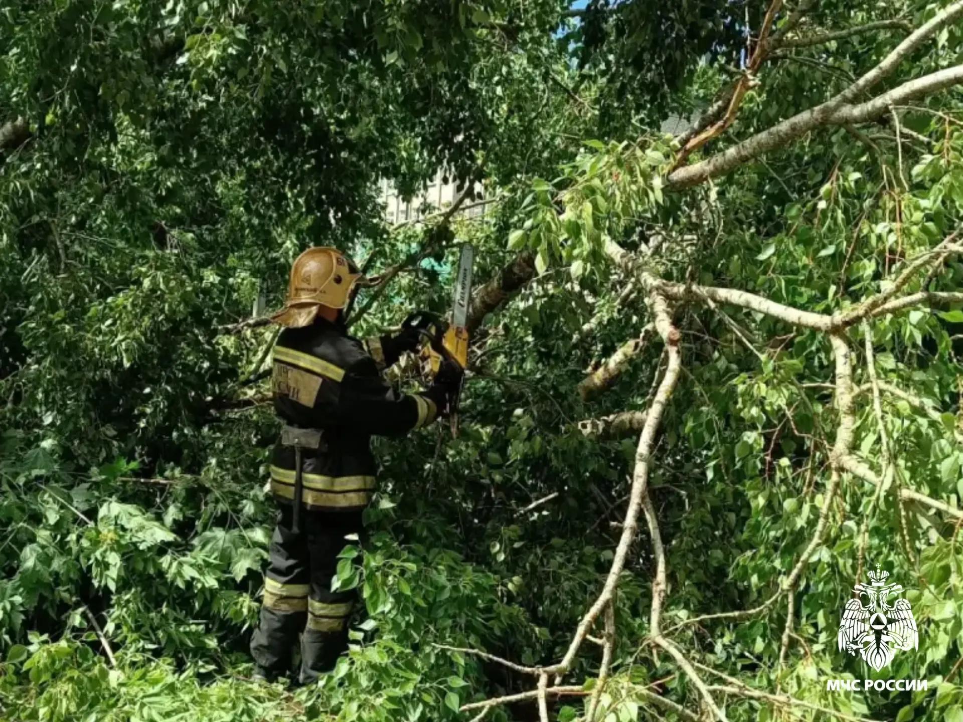 области