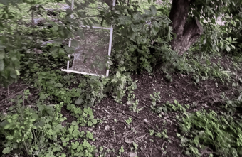 выпали