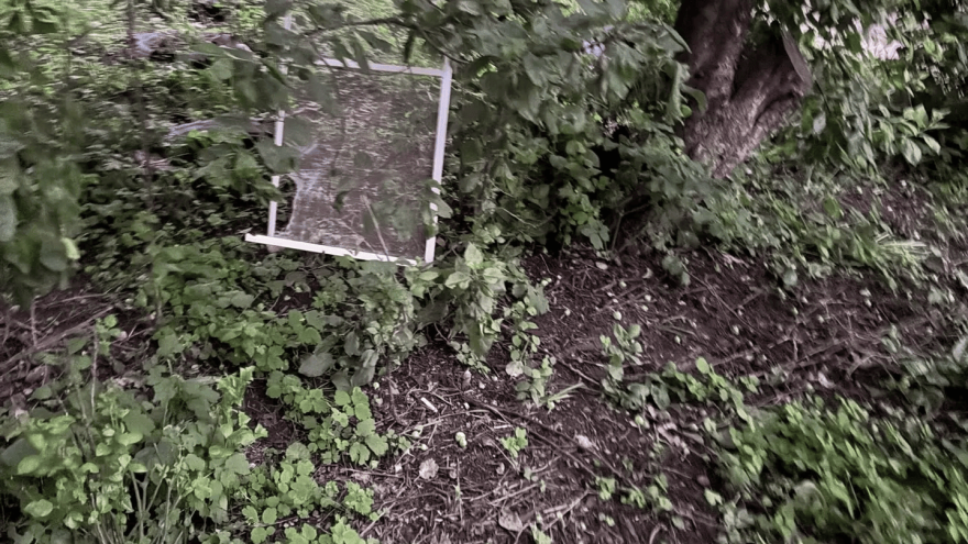 В Тверской области две девочки выпали из окна второго этажа