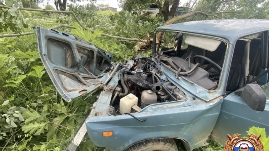 В Тверской области пожилой водитель на ВАЗе врезался в дерево