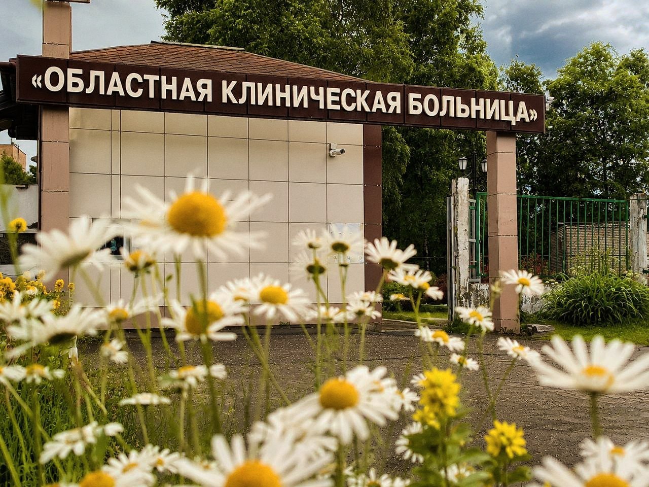 врачи