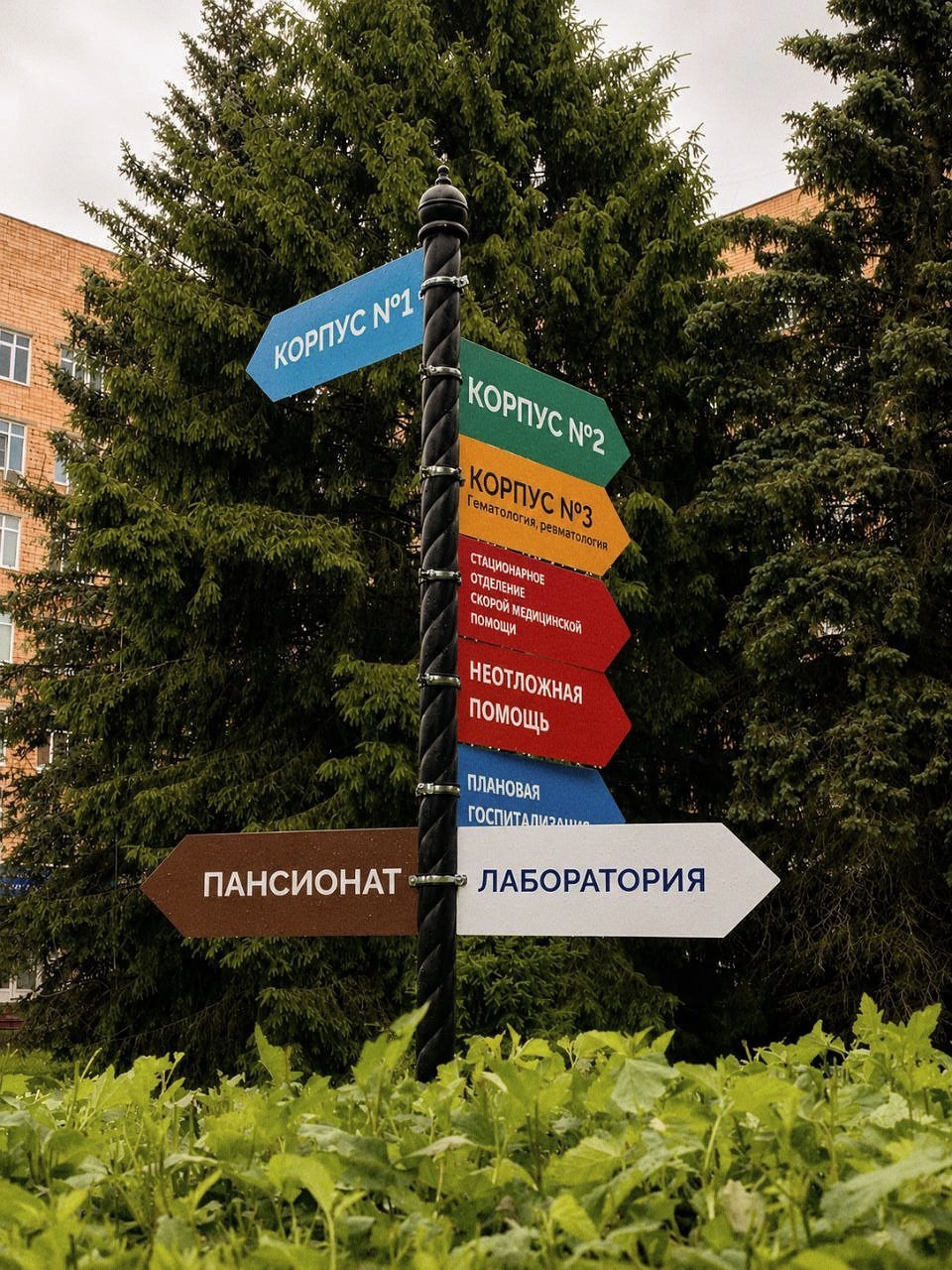врачи