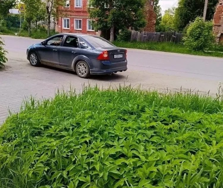 Тверской