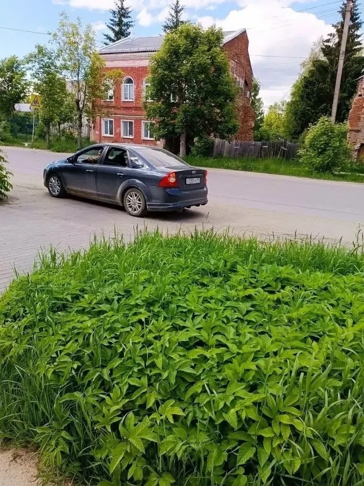 Тверской