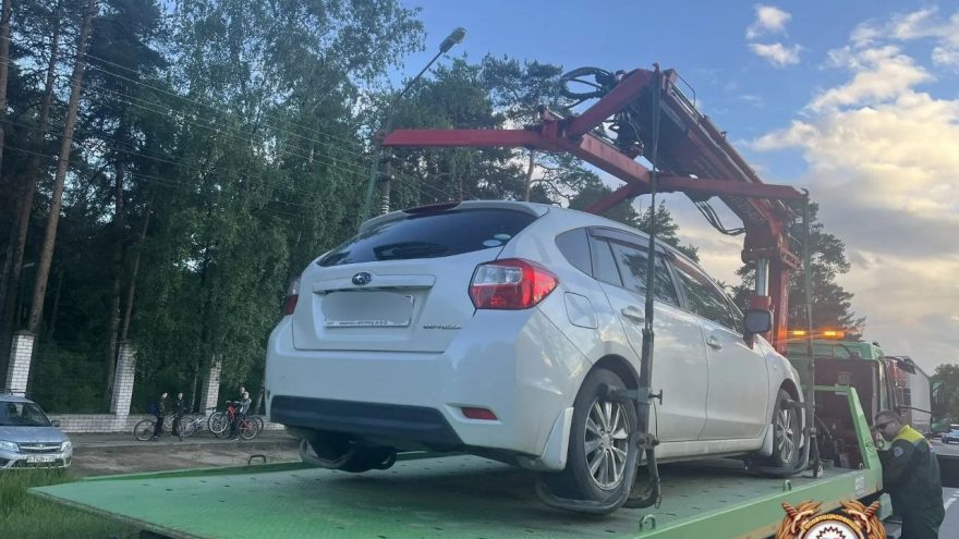 водителей