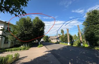 В Тверской области перепутали и спилили другие деревья деревья