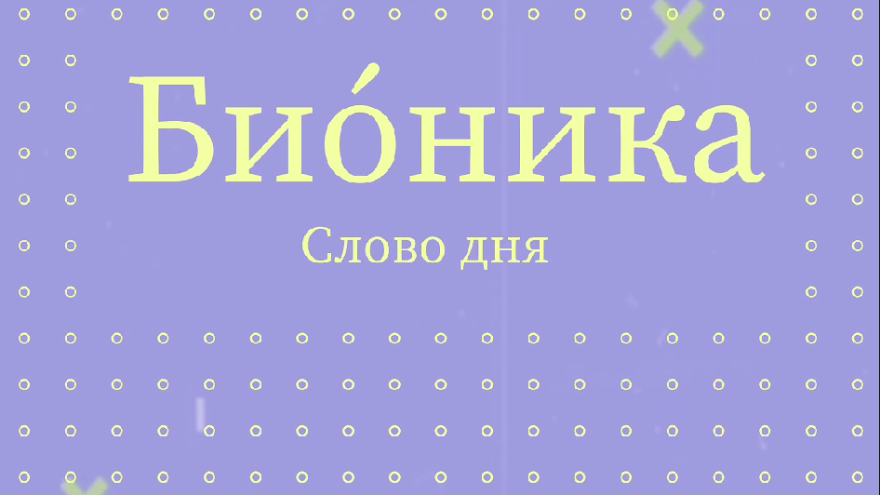 В Тверском словаре появились новые слова