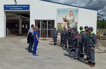 Школьники Тверской области проходят трудовую практику в ведущем агрохозяйстве региона школьники