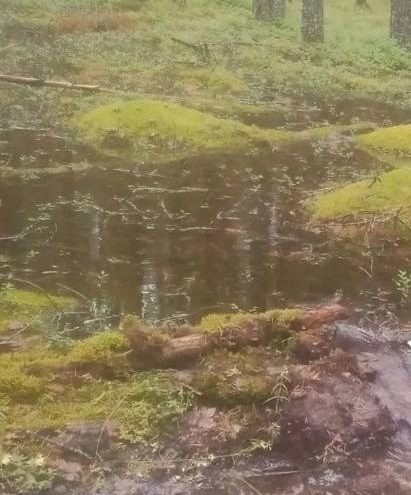 вода
