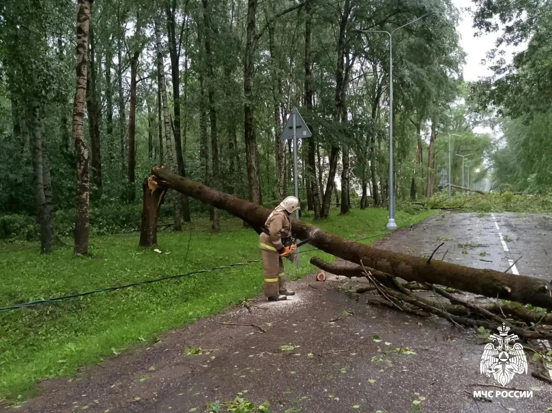 Упавшие из-за непогоды деревья завалили дороги в Тверской области