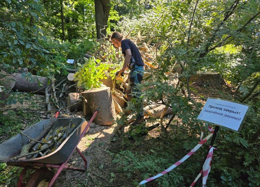 сада