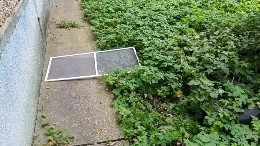 окна